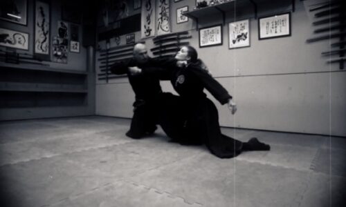 Takagi Yoshin Ryū – Jutaijutsu: Shoden no Kata