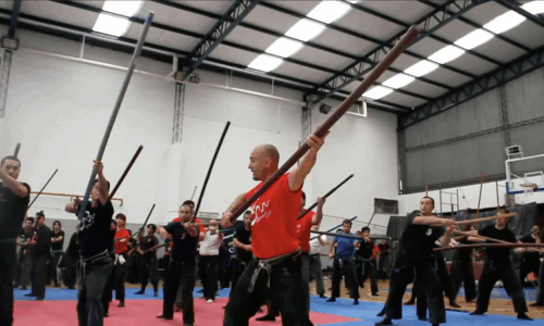 Bujinden Tenryū Kai 2013