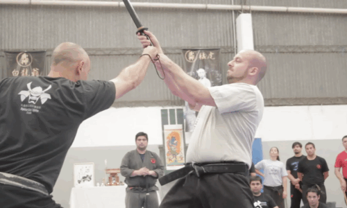 Bujinden Tenryū Kai 2014